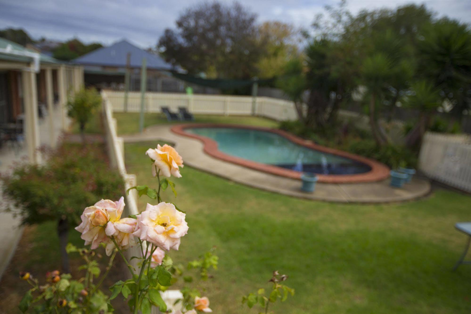 Rose Garden Motel Geelong Bagian luar foto
